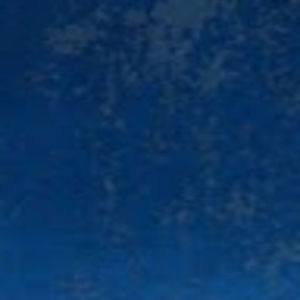 Meet your Posher, Liv